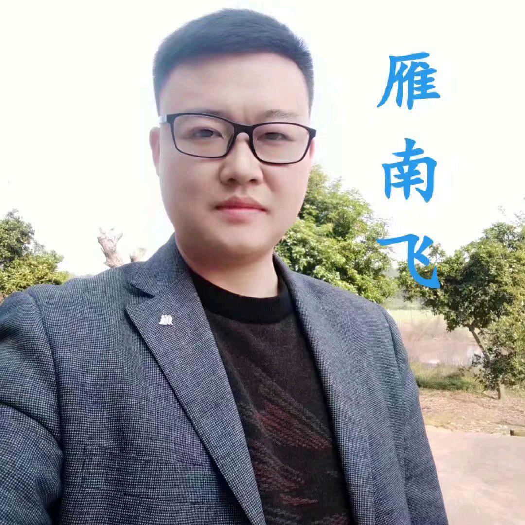 雁南飞