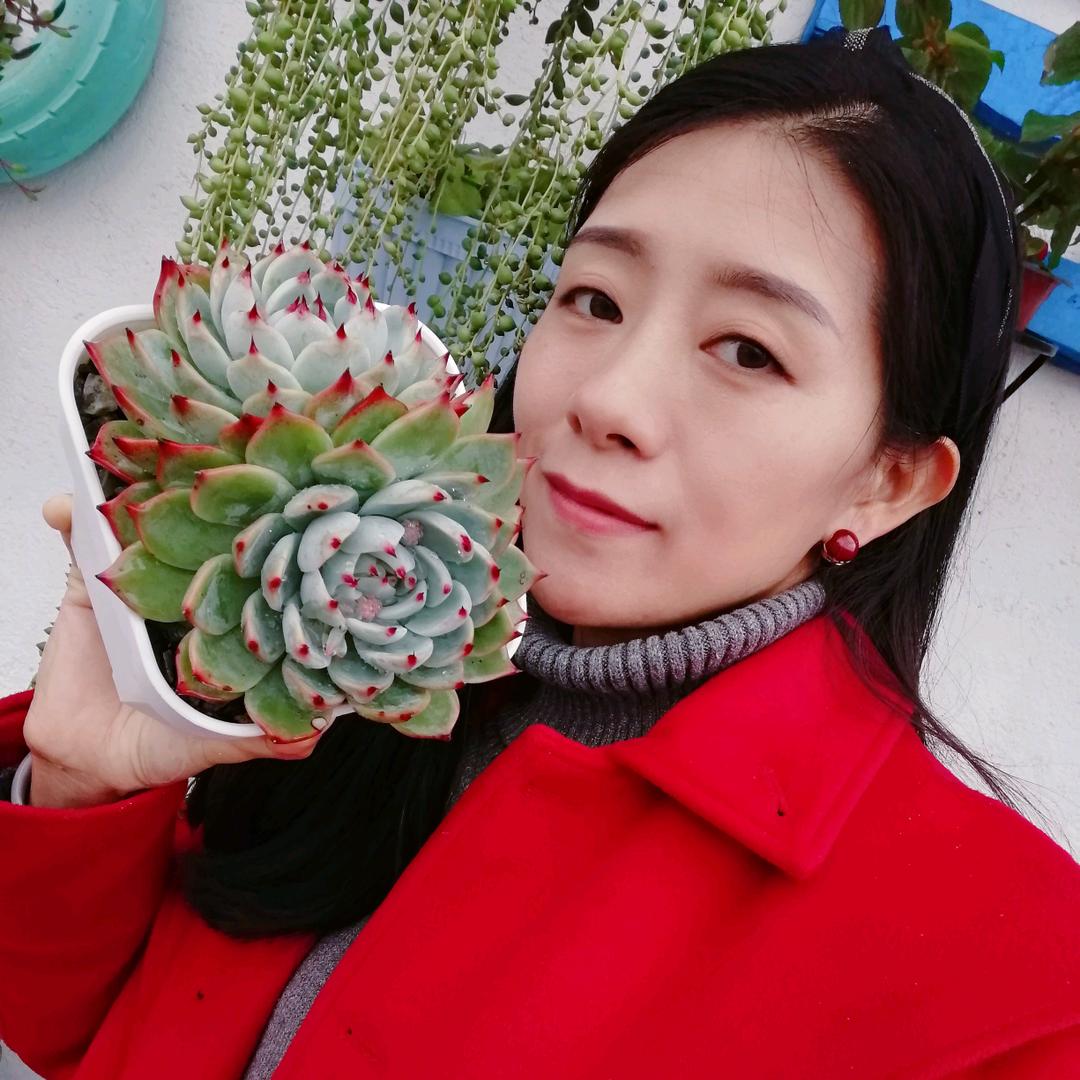 同心的花园