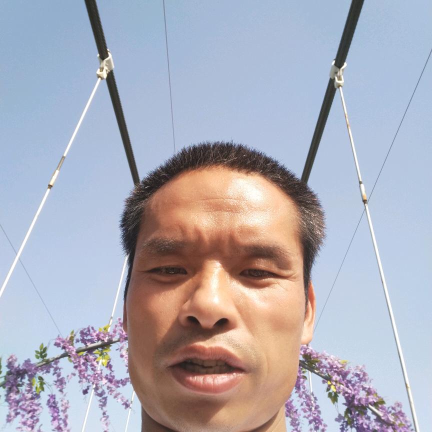 青云志
