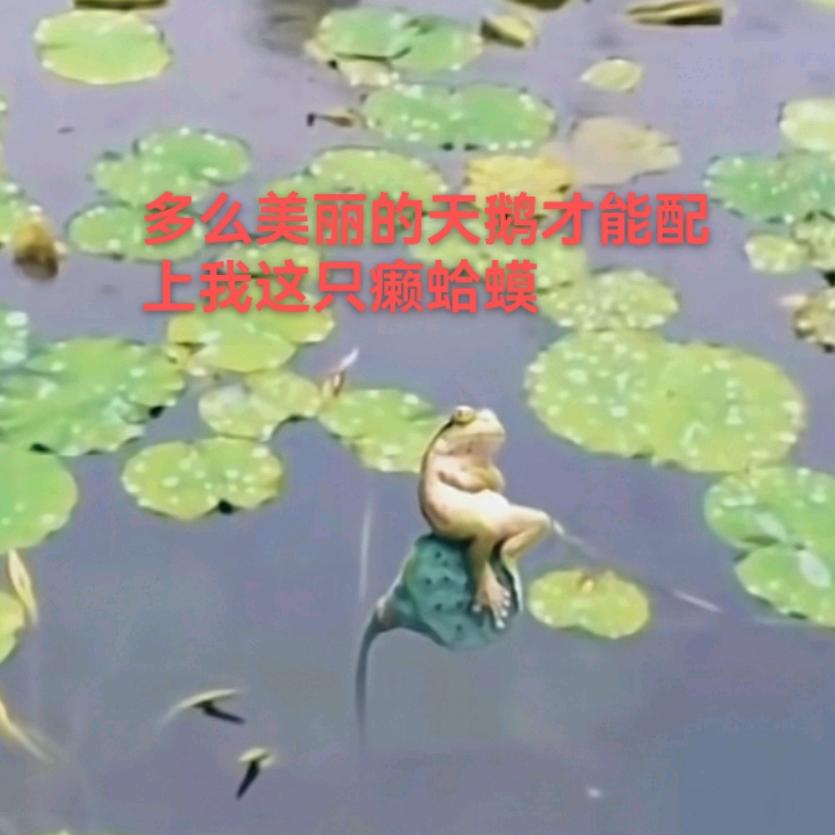 时而不靠谱_