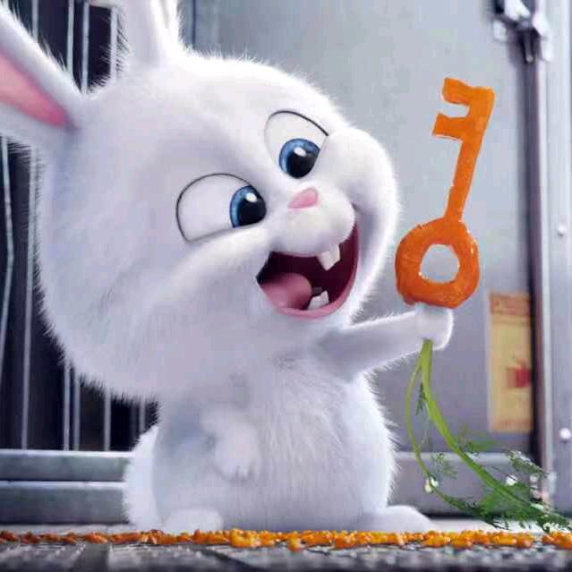 宝  子-ღꫛ ꧔ꦿ