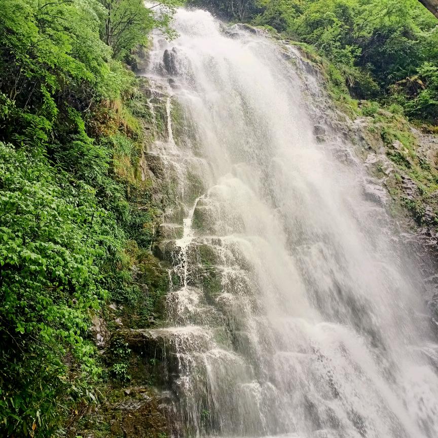 二手面包闯天涯