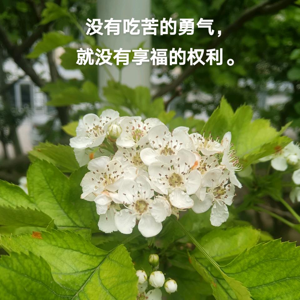 心灵奇旅