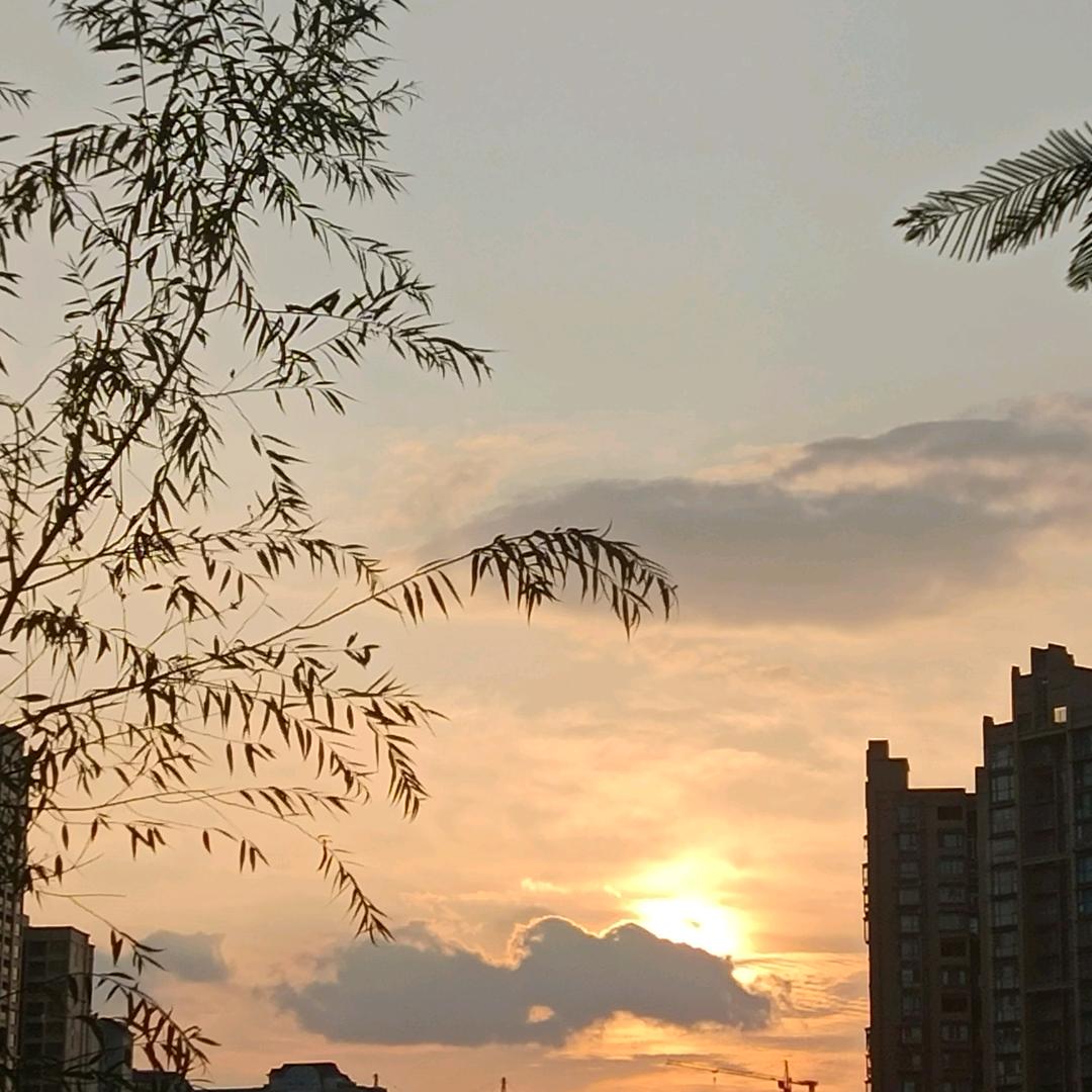 柳丽～