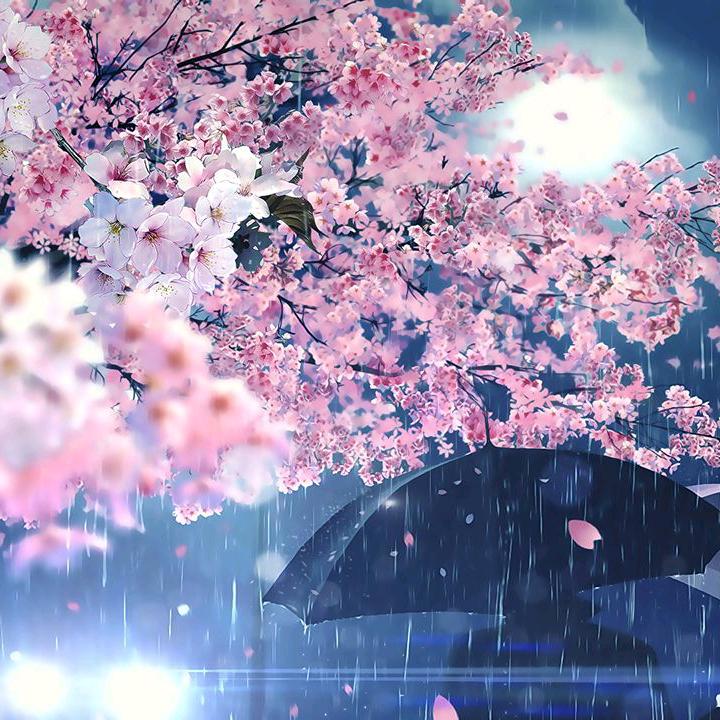 TPL千寻