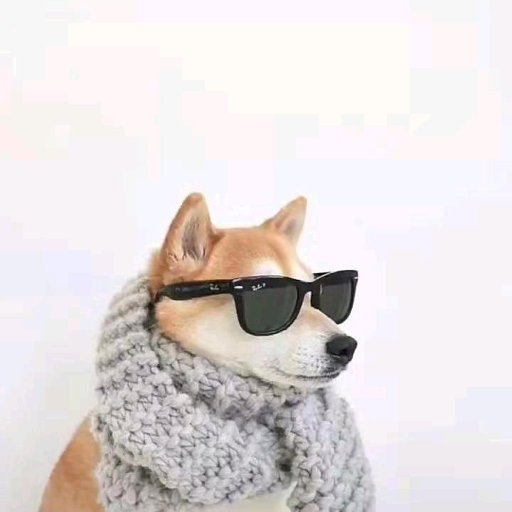 ␁ ␃ ␂