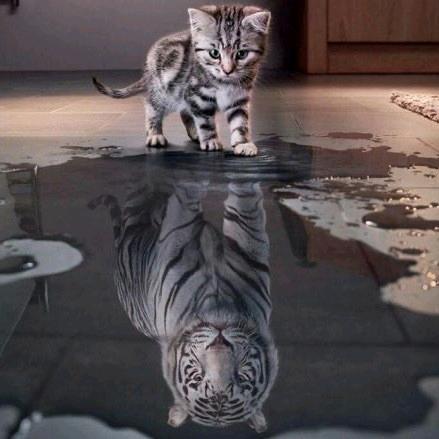 飞过沧海的蝴蝶