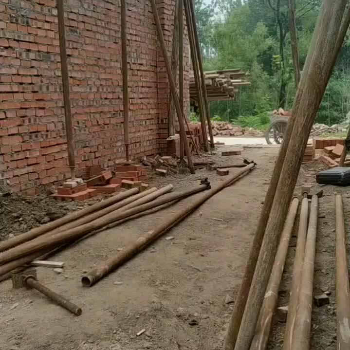 老实人
