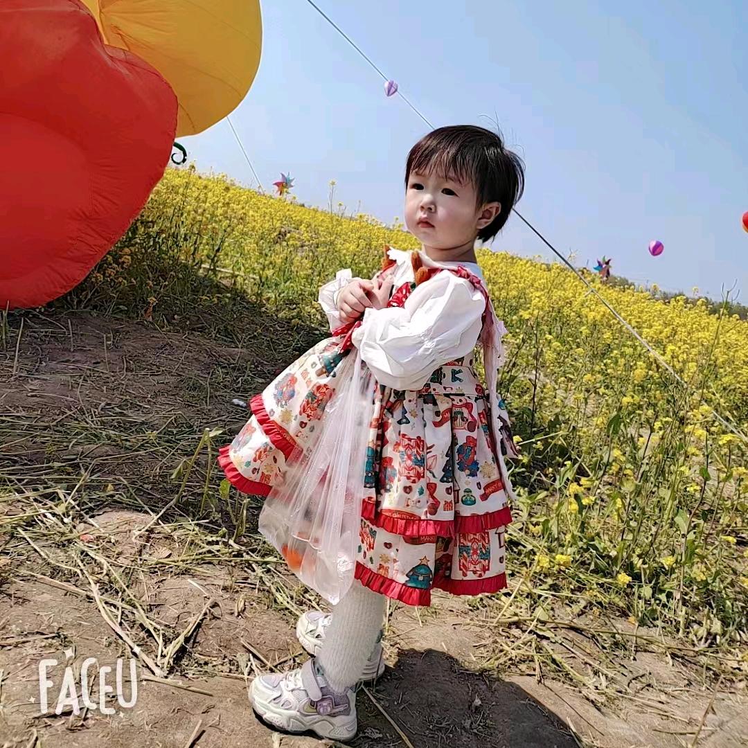 摆子