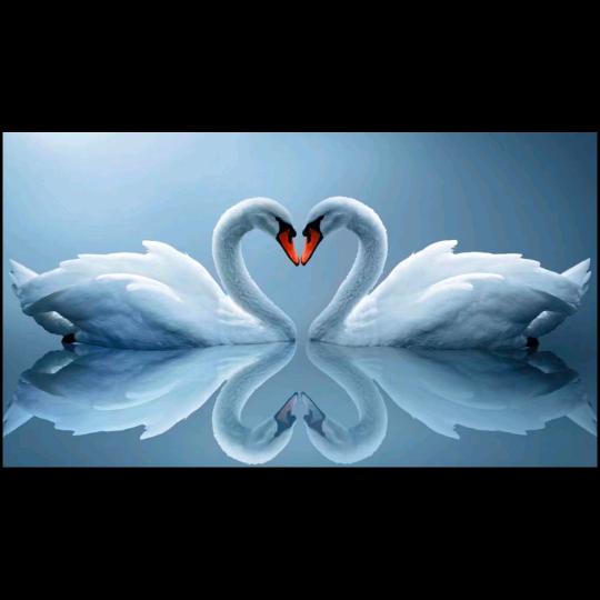 ꦿꦁ百☆度*᭄꧔