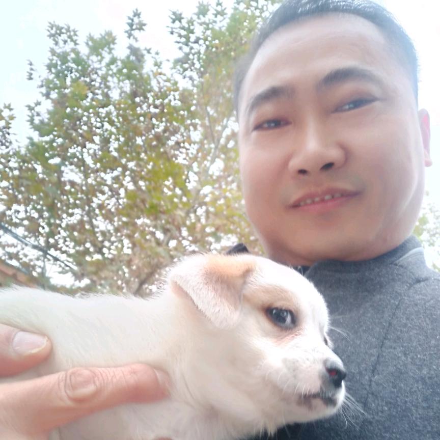 醉鼓香  朱总