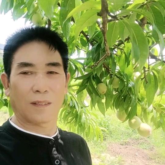 老生姜