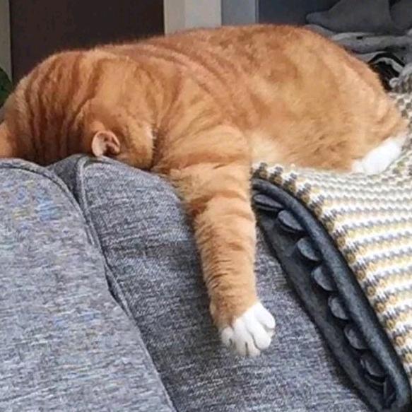 树