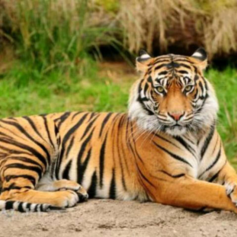 用户778435979176亿万