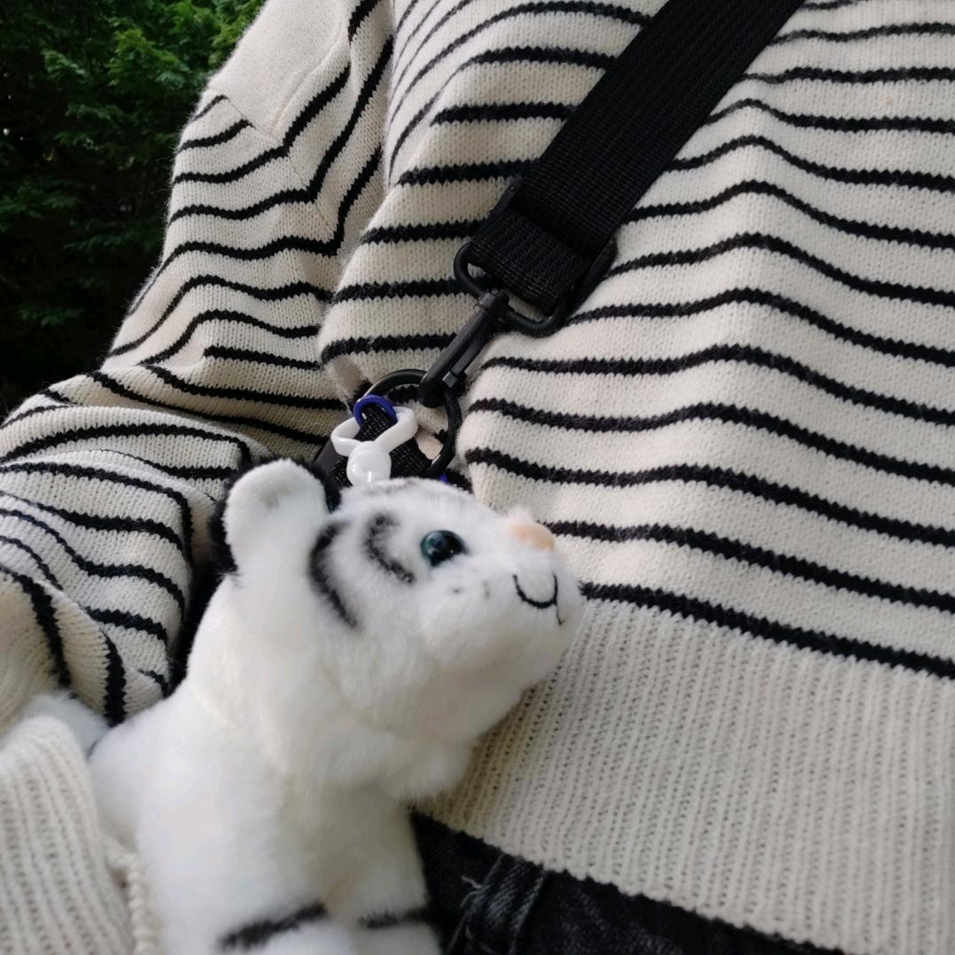 锤锤不是受气包