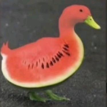 一只西嘎