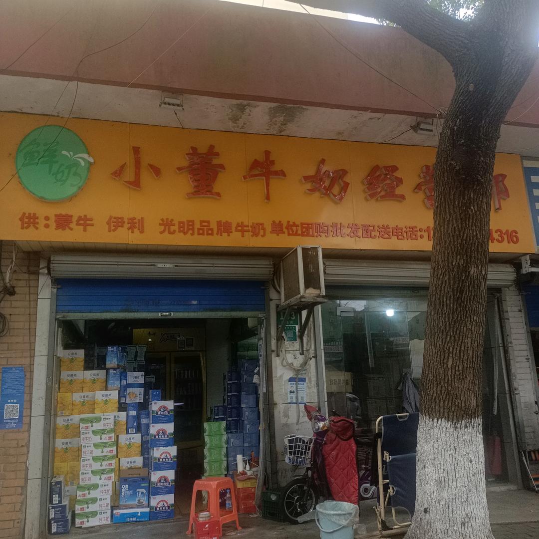 董振文