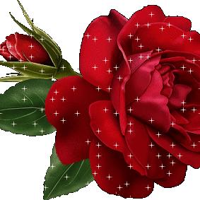 金果园（绿色生态果园农场）幺妹儿