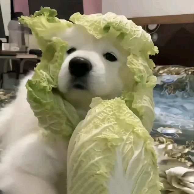 高加林