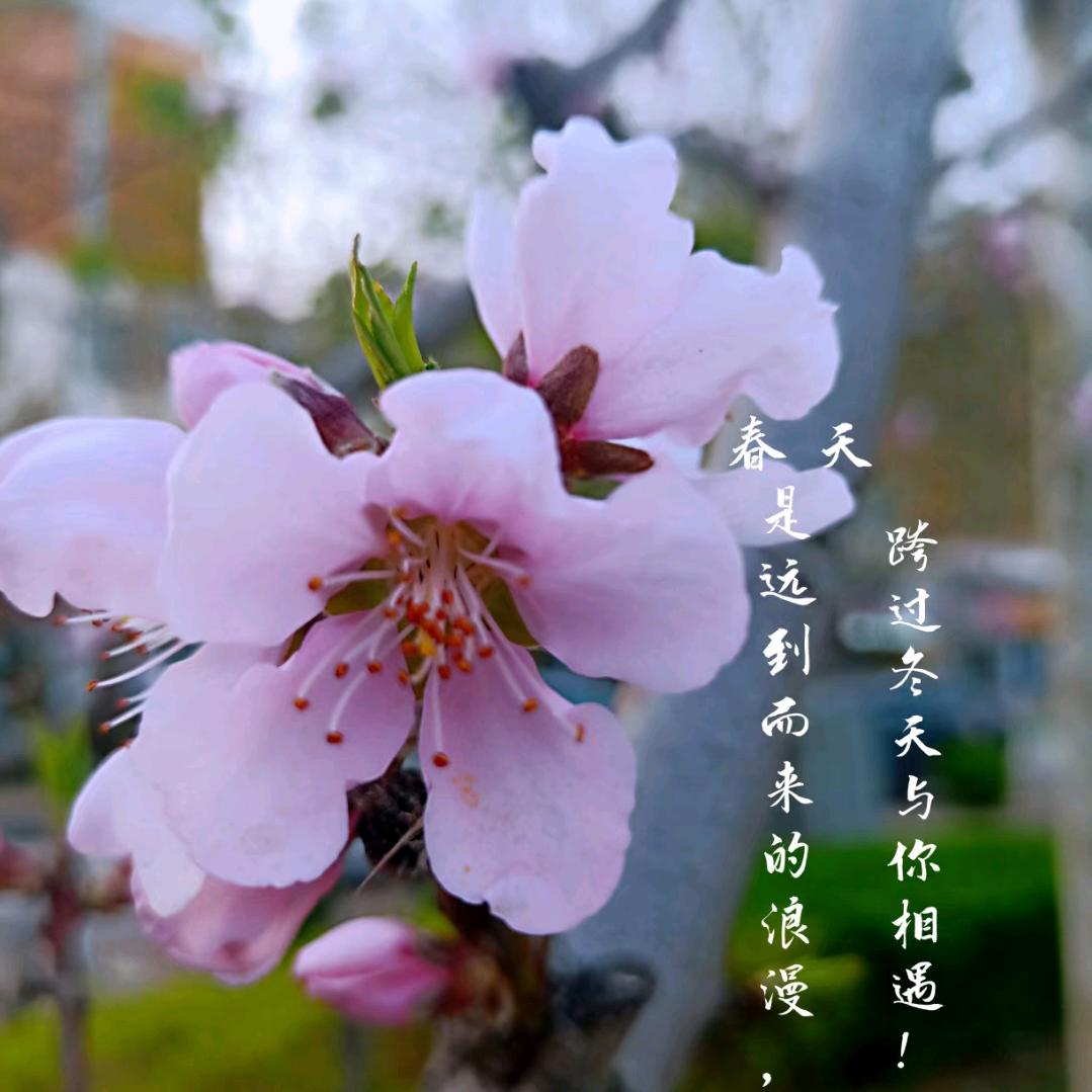 美好时光