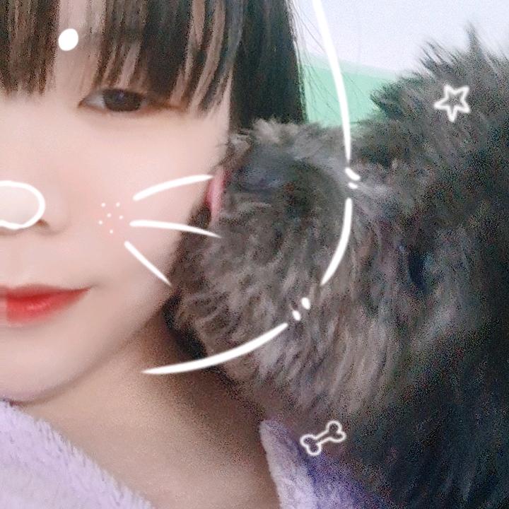 静宝小朋友🐷