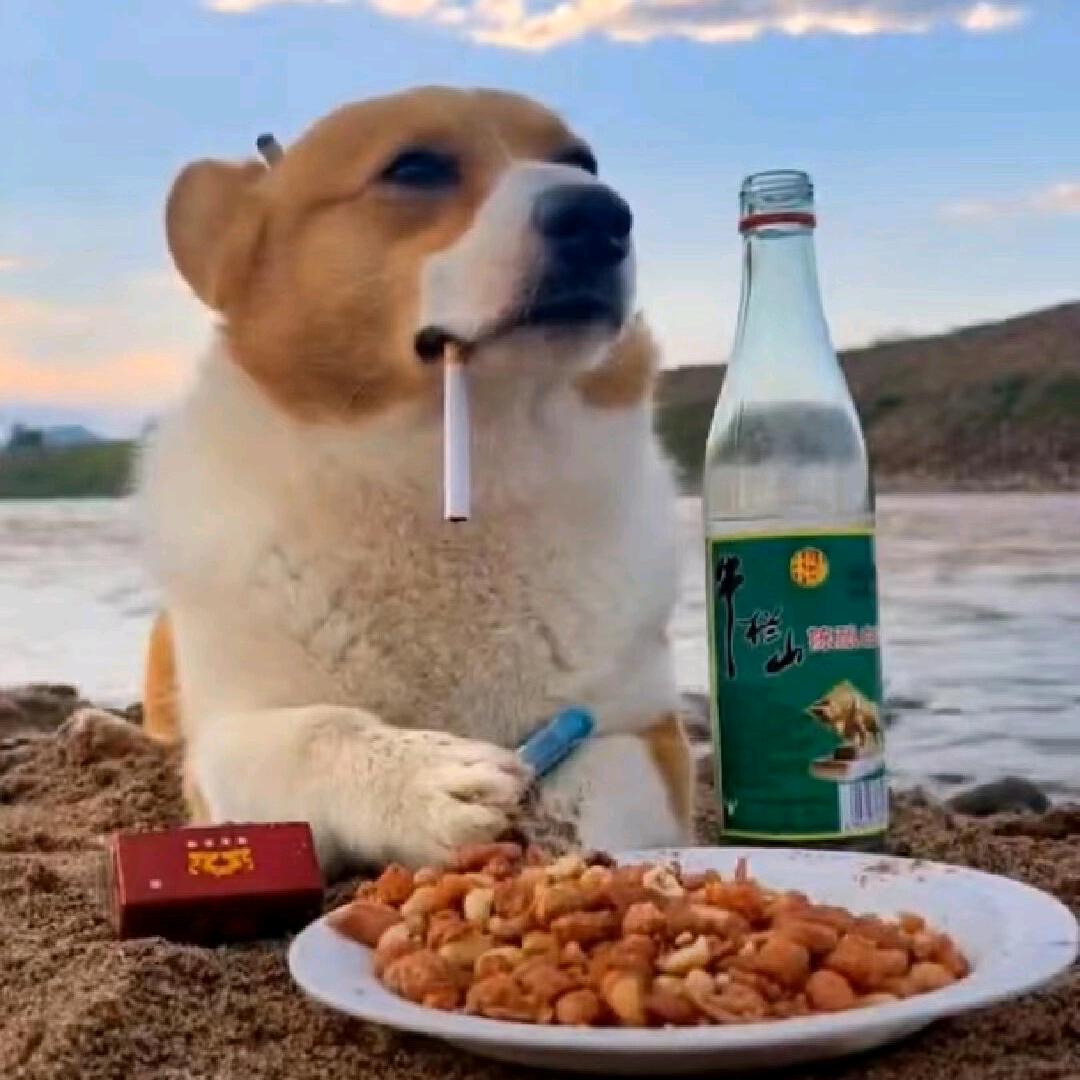 勒一油刘