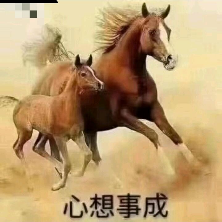 天贵