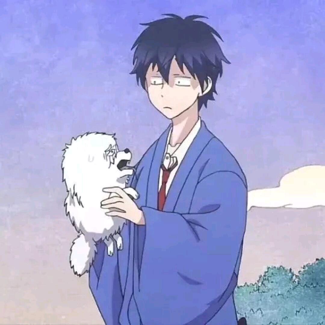 灰太狼.