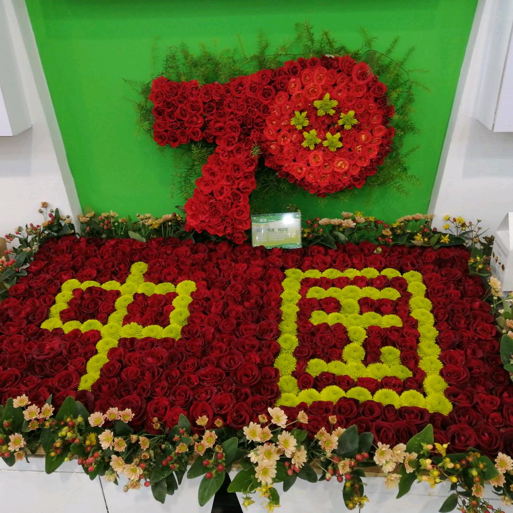 武功花花