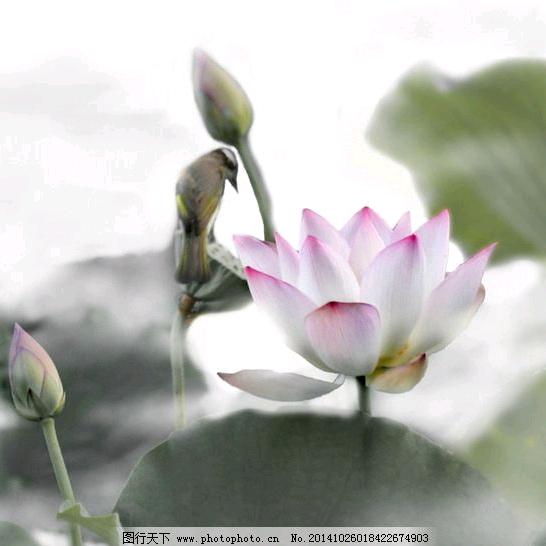 雨荷💞