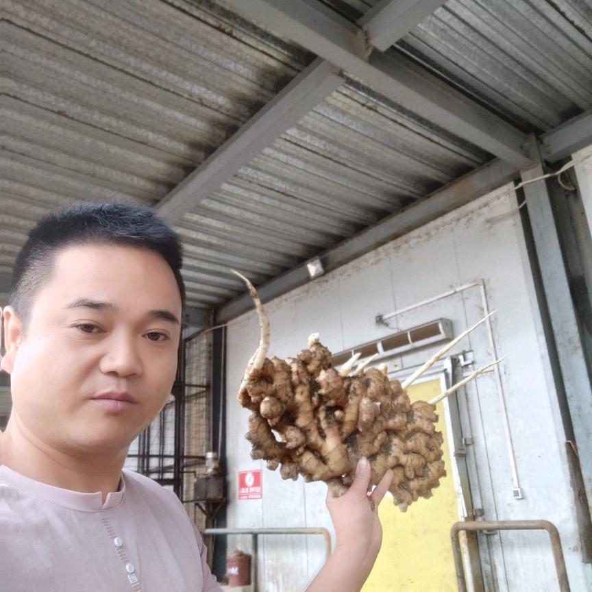 十洲姜业