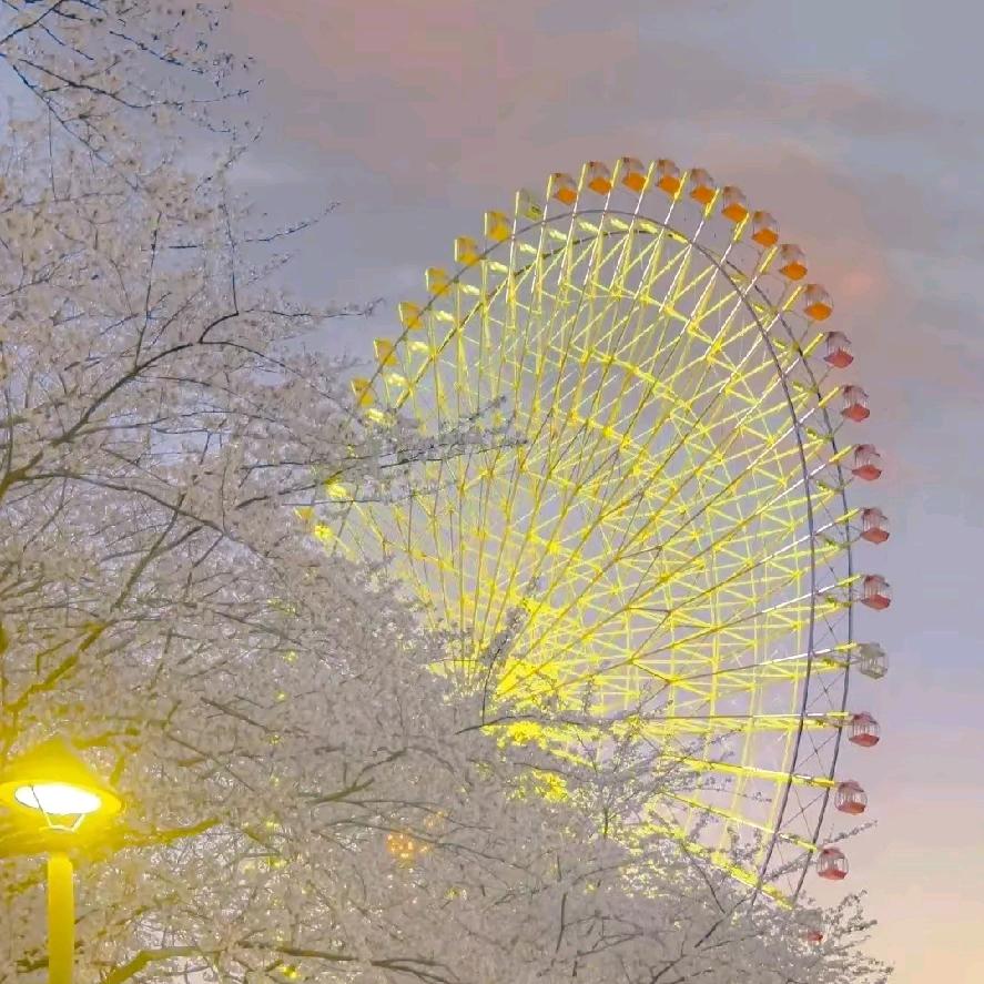 阴天の太阳