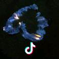 默