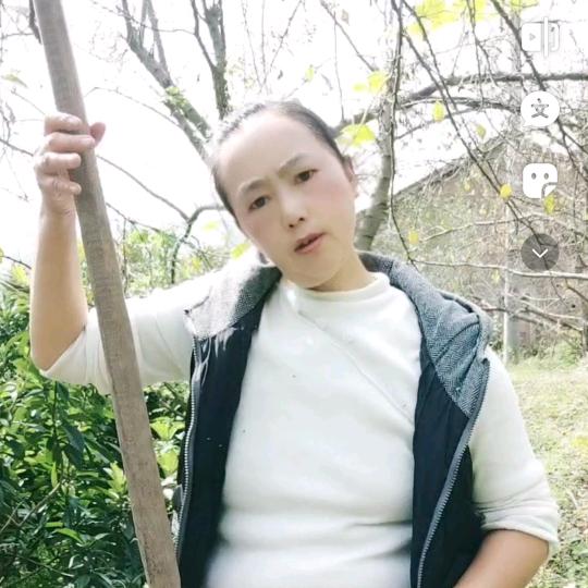 周二姐