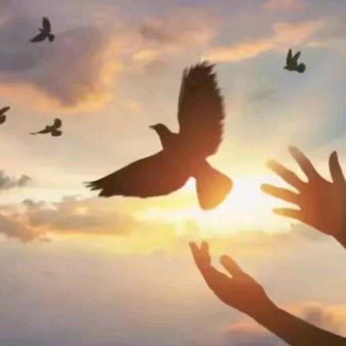 ღ᭄✧᭄᭄321ઈོ࿐