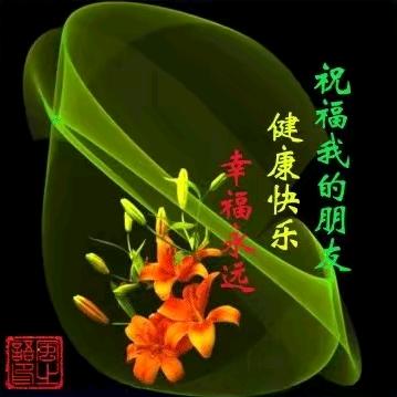 呵护