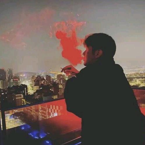 积极废人.