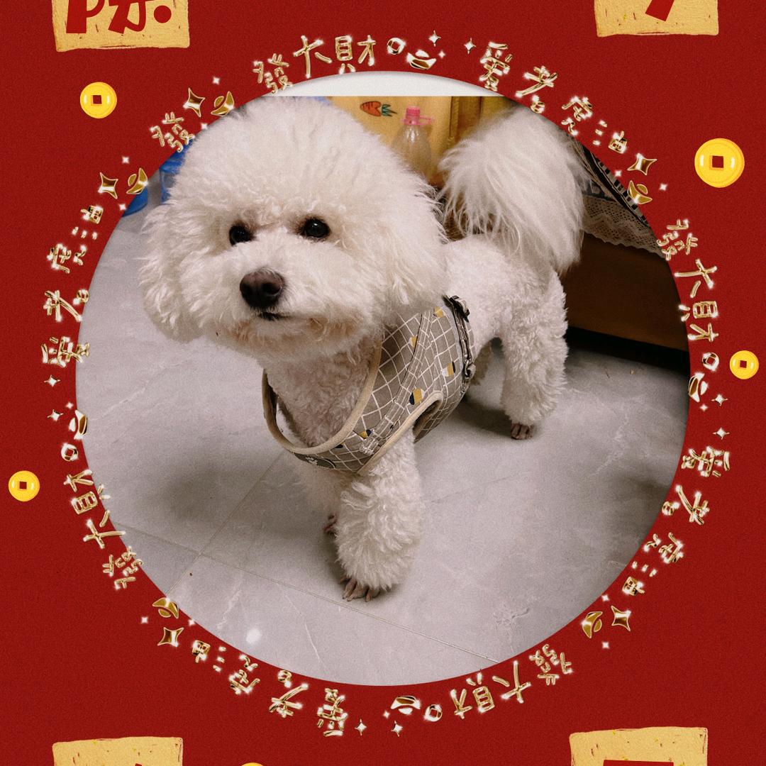 徐元七的饲养员