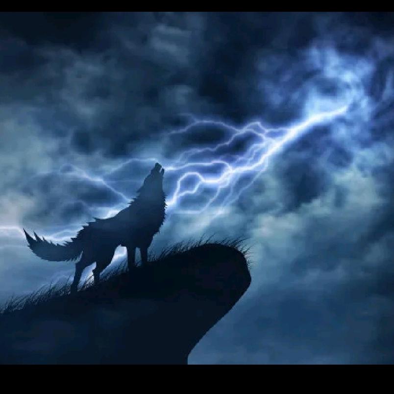 凛冬（激光应用）