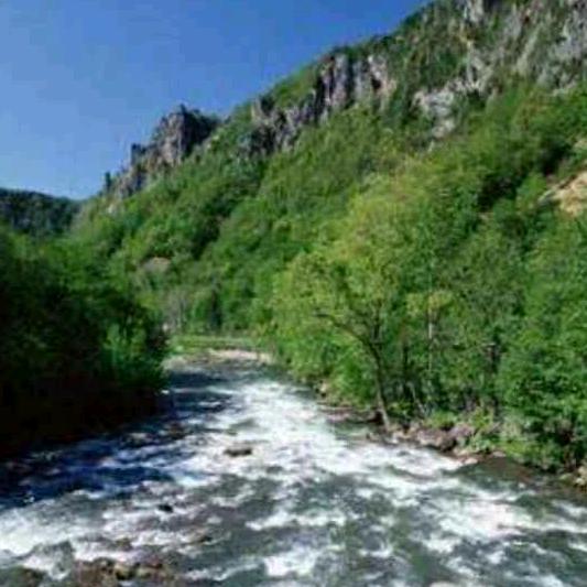 高山泉水