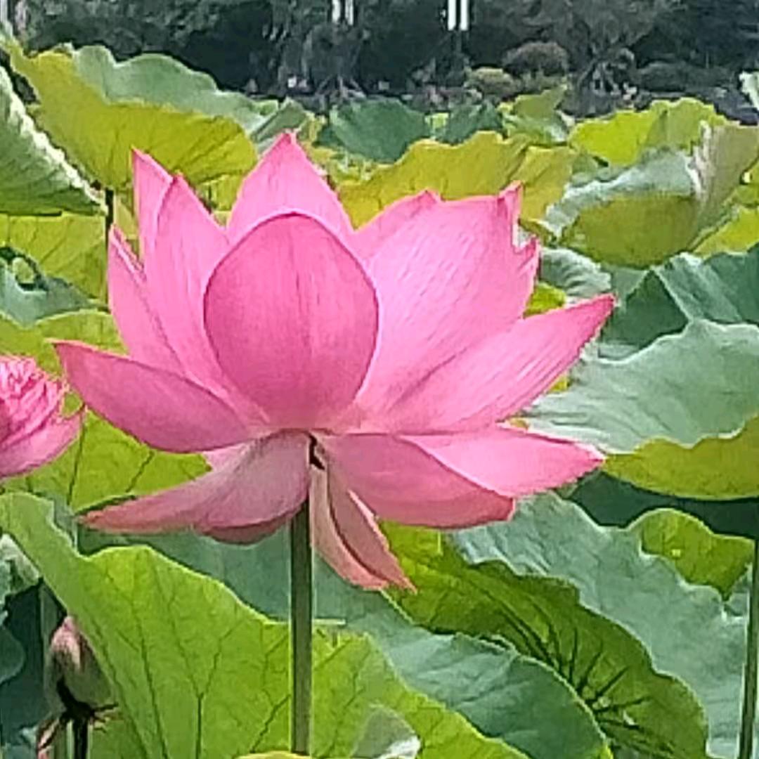 开开心心
