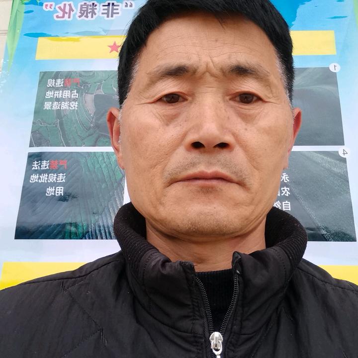 陈春进