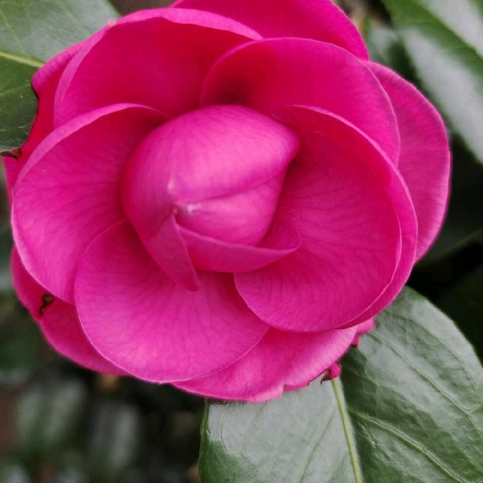 花开的时候🌺🌺🌺🌺🌺🌺🌺