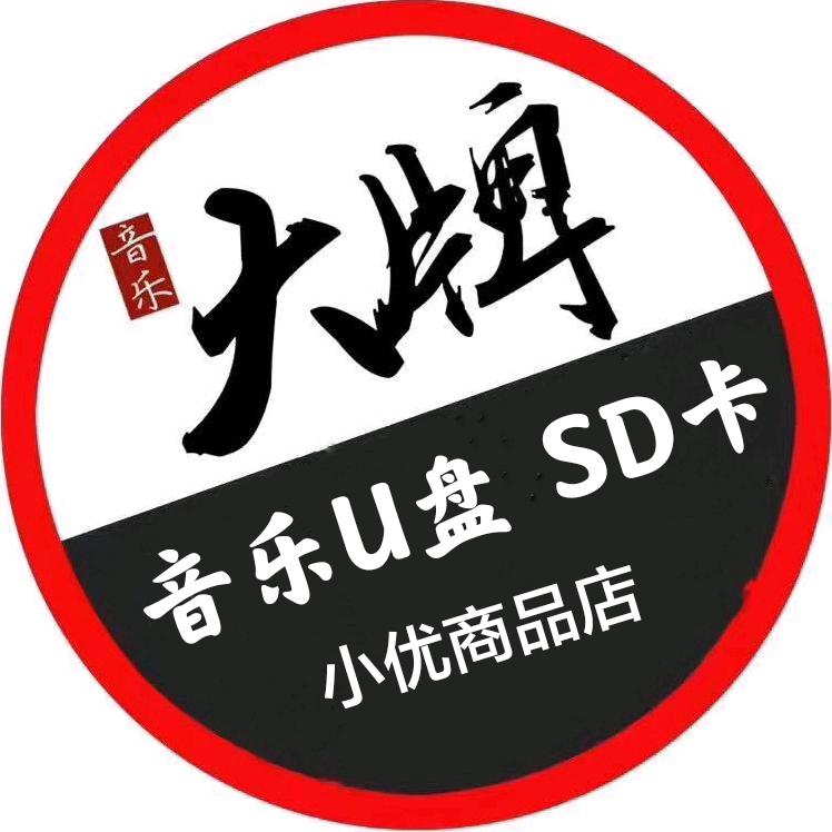 @大牌车载音乐（U盘 SD卡）