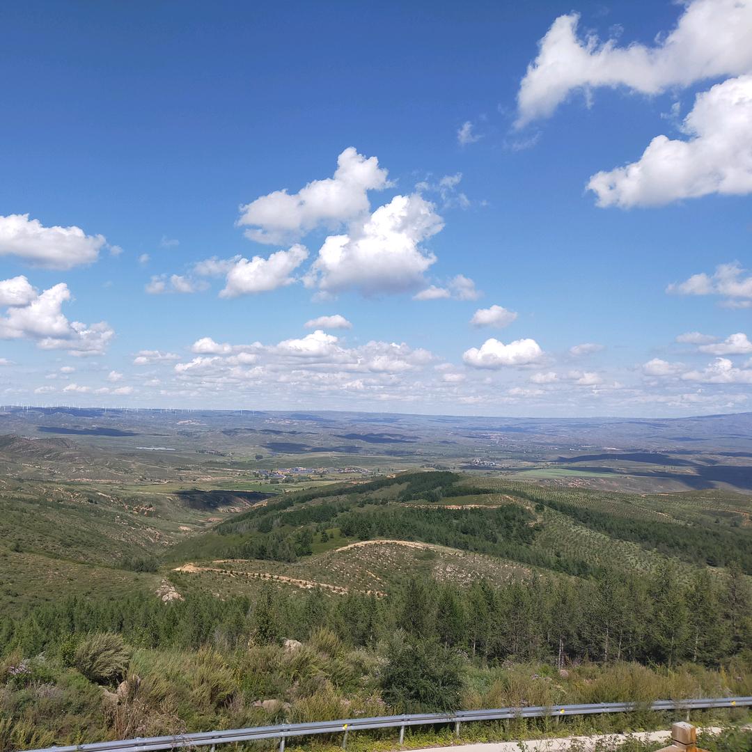 曲阜顺达旅游车队  孔强