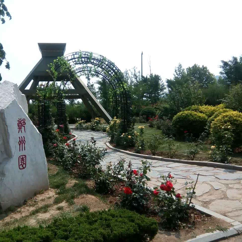 朝阳zhaoyang