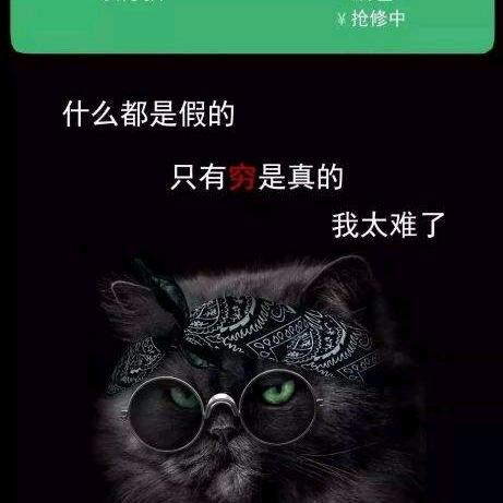 一千多个夜晚以后⊙ω⊙