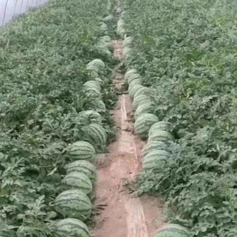 云中漫步