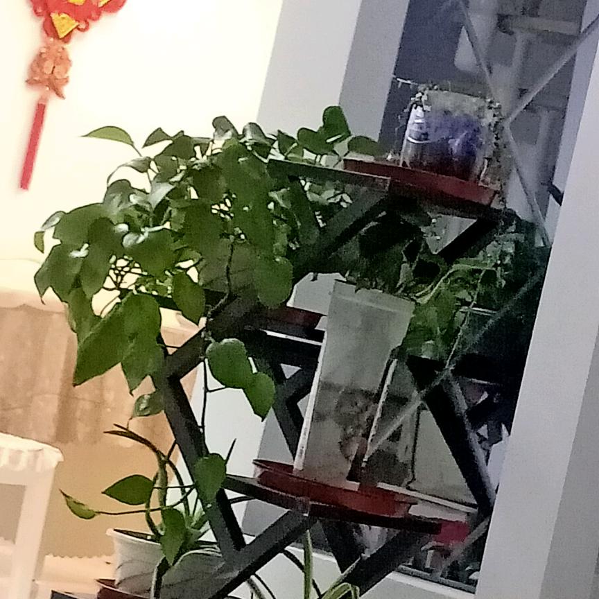 共创美好未来(阿卞)