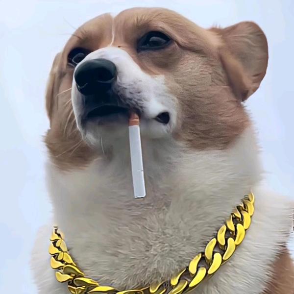 日落时ᵏⁱˢˢ